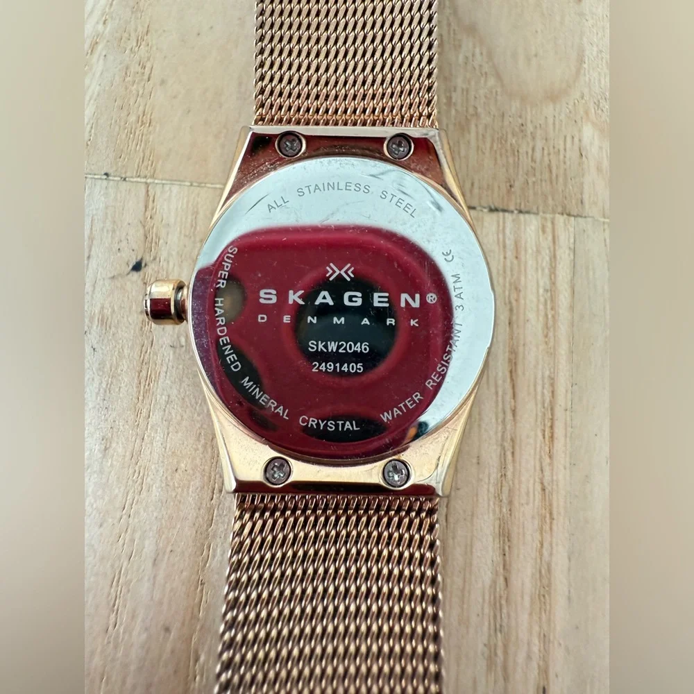 Skagen brand model